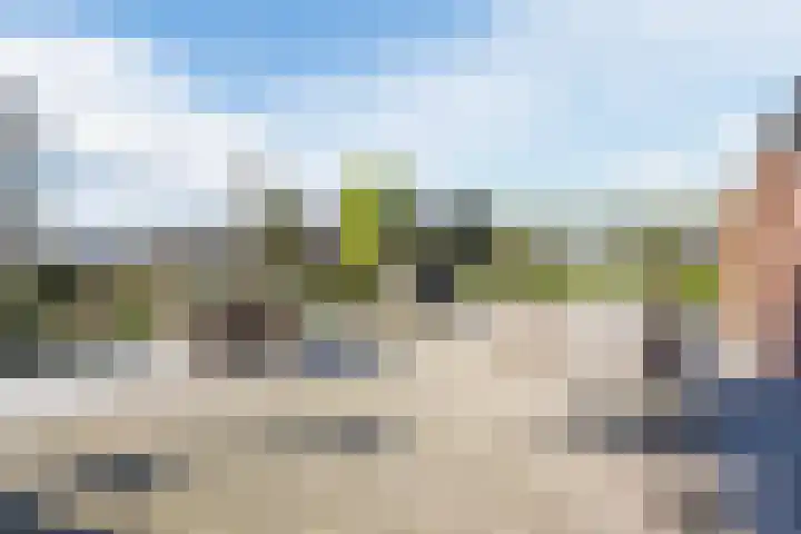 Gerele Peel 8 Elsendorp thumbnail 39
