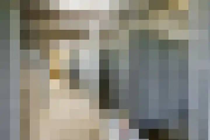 Gerele Peel 8 Elsendorp thumbnail 41