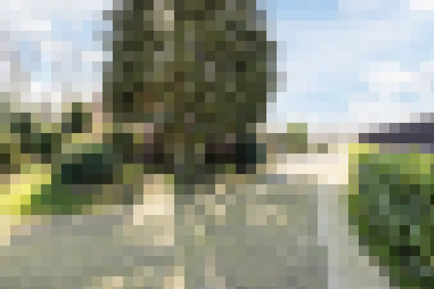 Gerele Peel 8 Elsendorp thumbnail 42