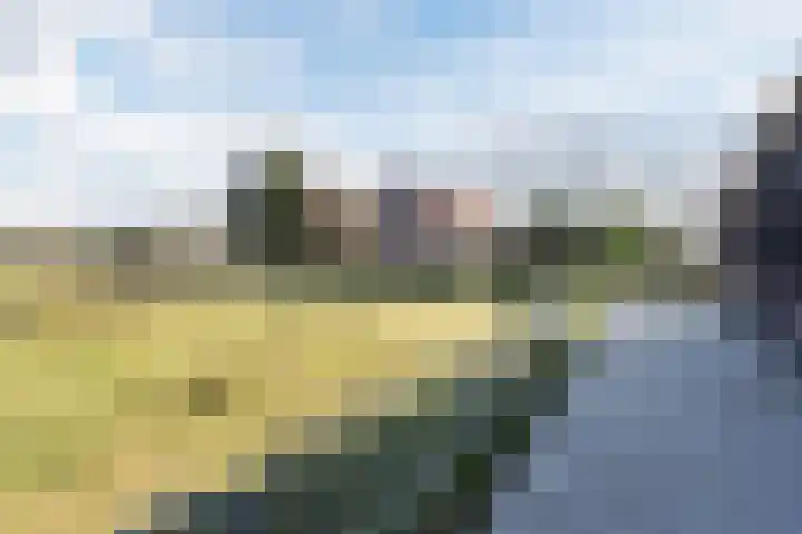 Gerele Peel 8 Elsendorp thumbnail 43
