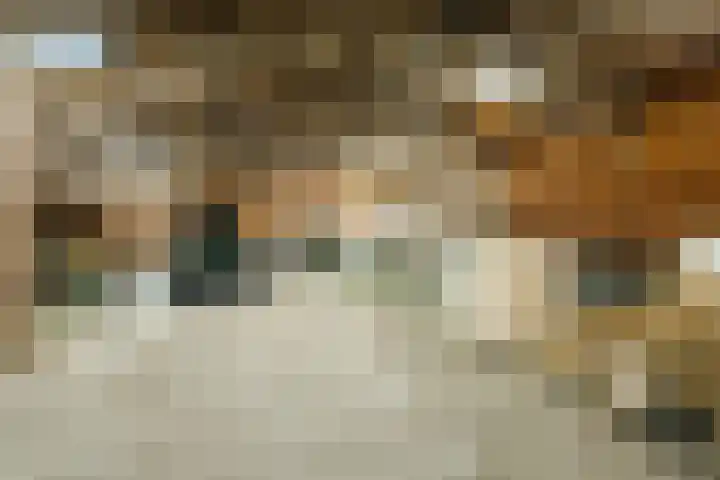 Gerele Peel 8 Elsendorp thumbnail 45