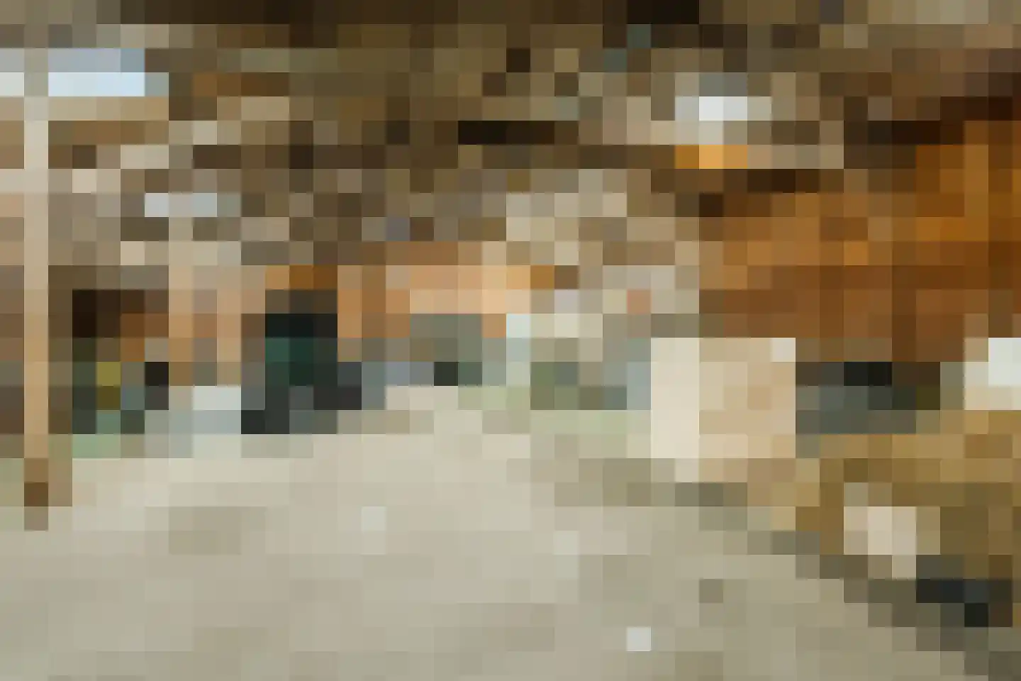 Gerele Peel 8 Elsendorp thumbnail 45