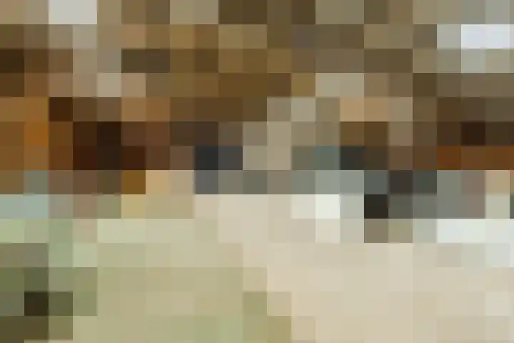 Gerele Peel 8 Elsendorp thumbnail 46