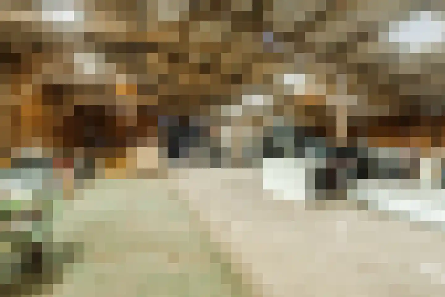 Gerele Peel 8 Elsendorp thumbnail 46