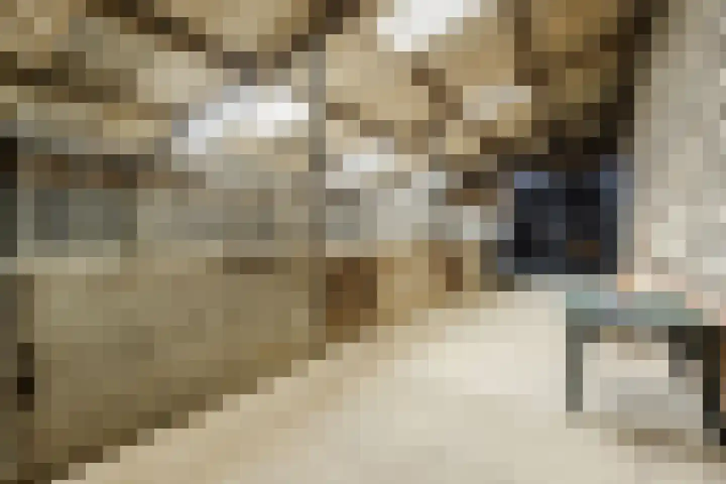 Gerele Peel 8 Elsendorp thumbnail 47