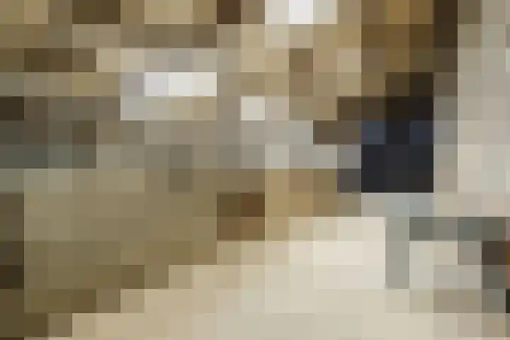 Gerele Peel 8 Elsendorp thumbnail 47