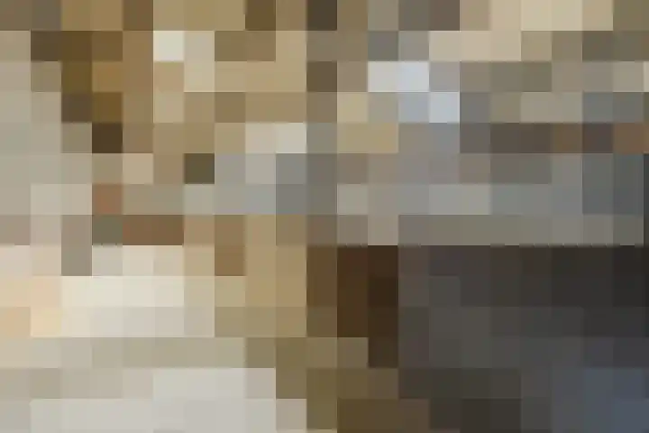 Gerele Peel 8 Elsendorp thumbnail 48