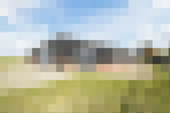 Gerele Peel 8 Elsendorp thumbnail 49