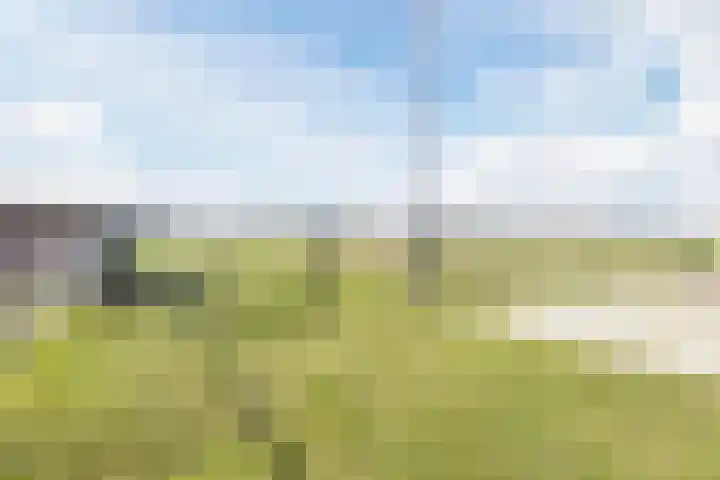 Gerele Peel 8 Elsendorp thumbnail 50