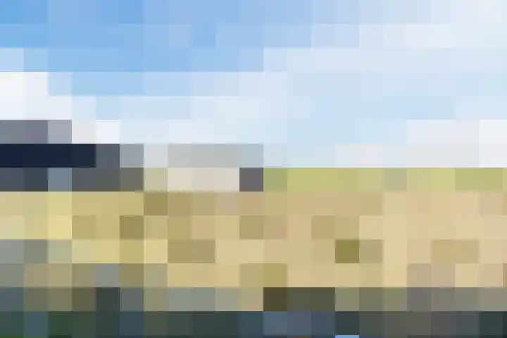 Gerele Peel 8 Elsendorp thumbnail 51