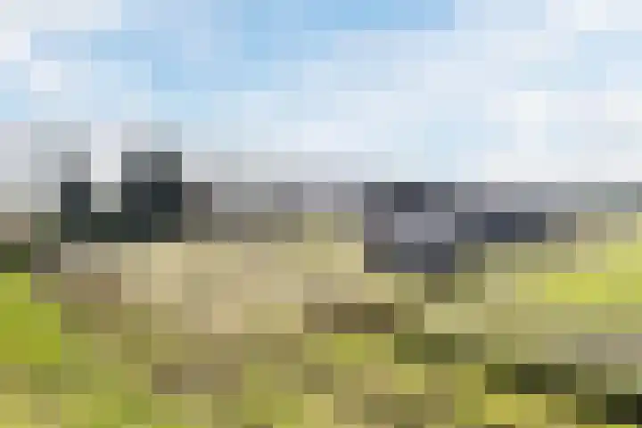 Gerele Peel 8 Elsendorp thumbnail 52