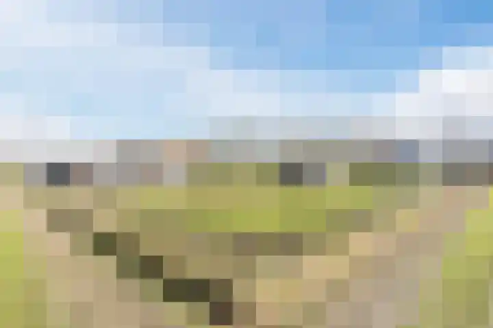 Gerele Peel 8 Elsendorp thumbnail 53