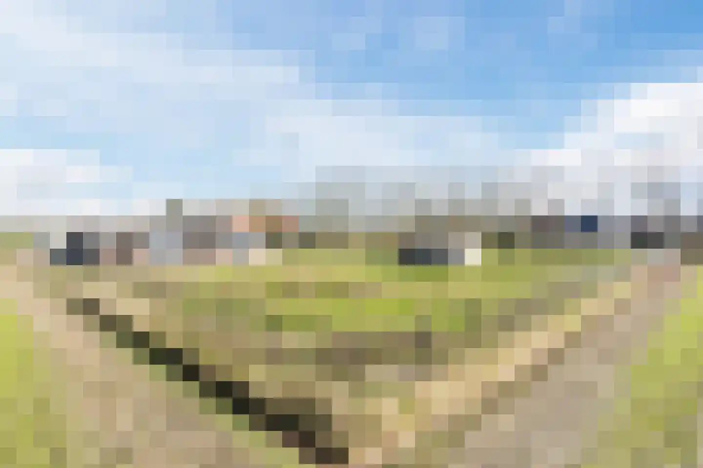 Gerele Peel 8 Elsendorp thumbnail 53
