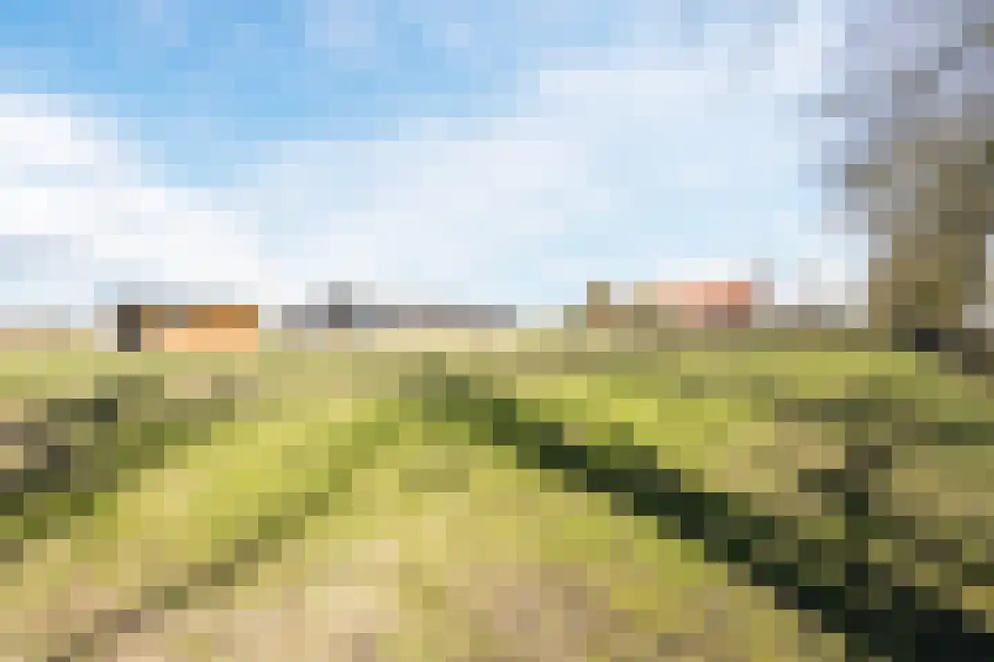 Gerele Peel 8 Elsendorp thumbnail 54