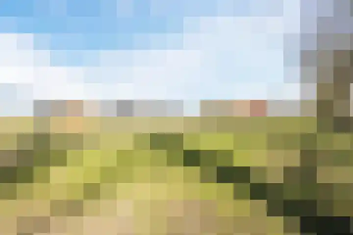 Gerele Peel 8 Elsendorp thumbnail 54
