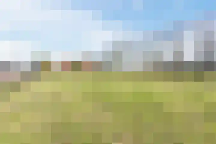 Gerele Peel 8 Elsendorp thumbnail 55