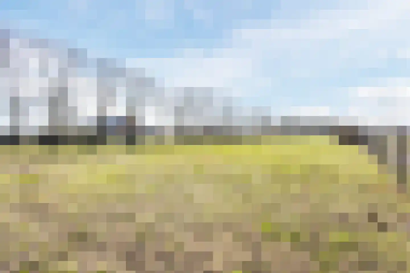 Gerele Peel 8 Elsendorp thumbnail 56