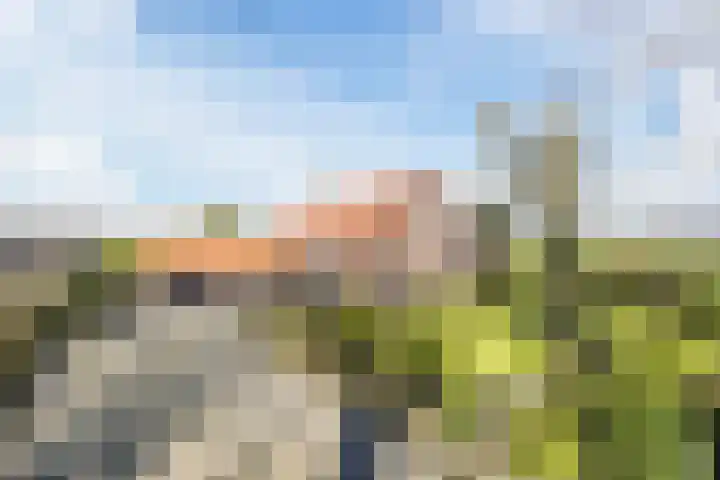 Gerele Peel 8 Elsendorp thumbnail 57