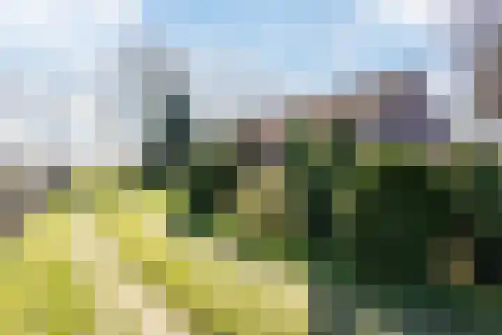 Gerele Peel 8 Elsendorp thumbnail 58