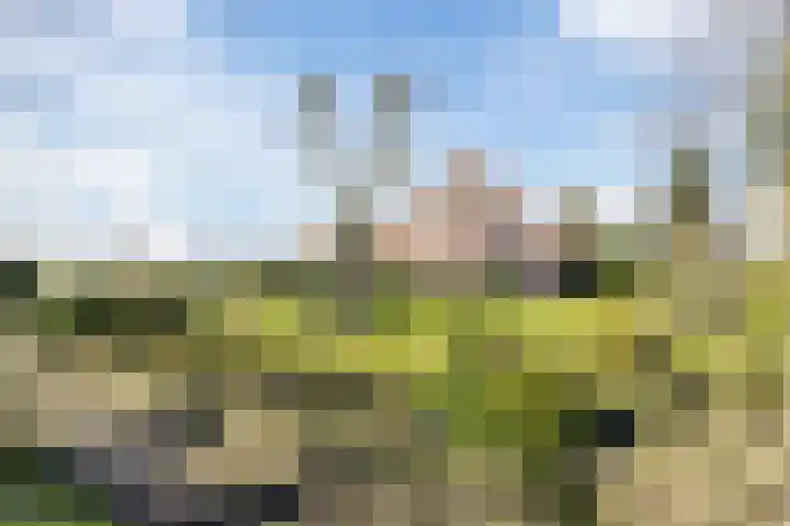 Gerele Peel 8 Elsendorp thumbnail 6