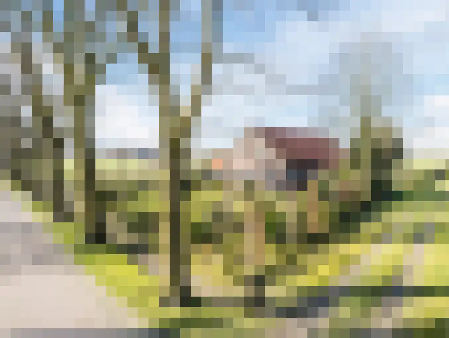Gerele Peel 8 Elsendorp thumbnail 65