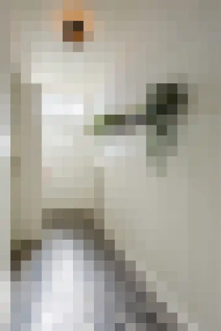 Gerele Peel 8 Elsendorp thumbnail 7