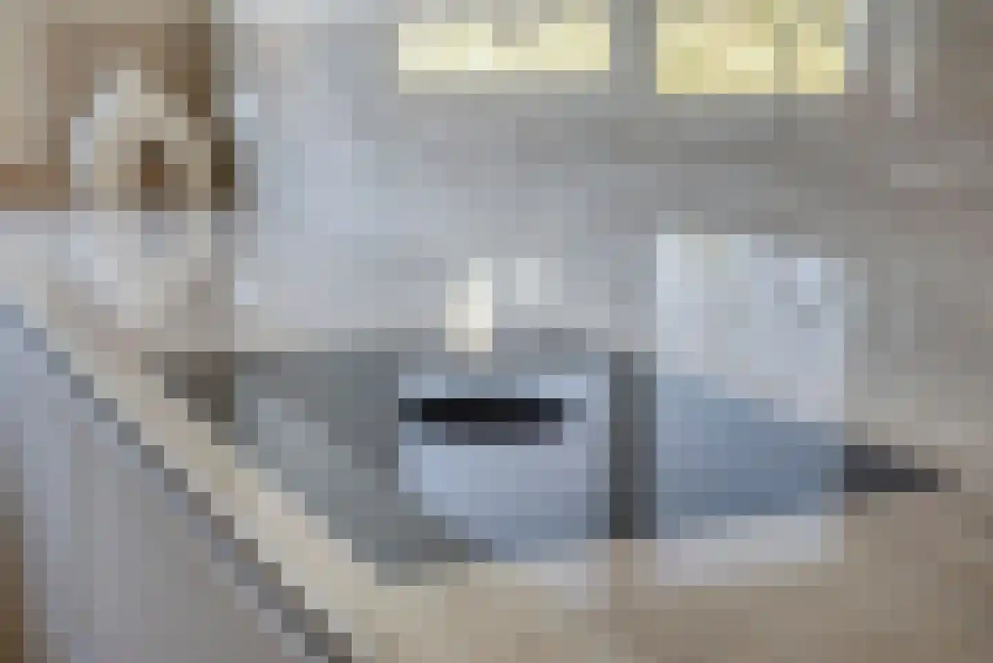 Gerendal 3 Ede thumbnail 14