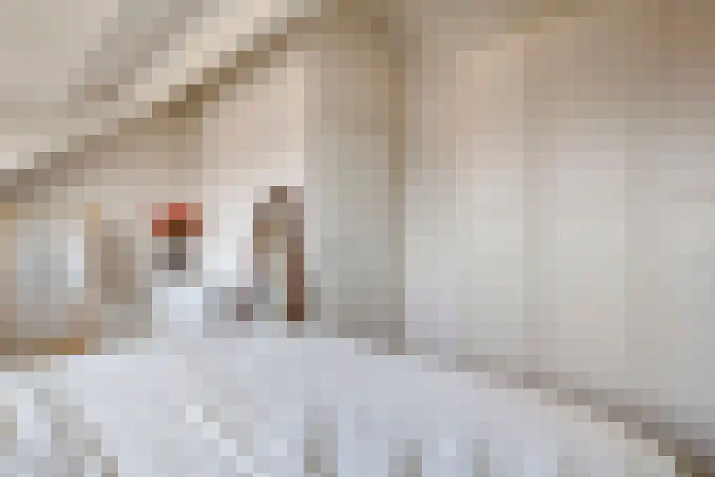 Gerendal 3 Ede thumbnail 33