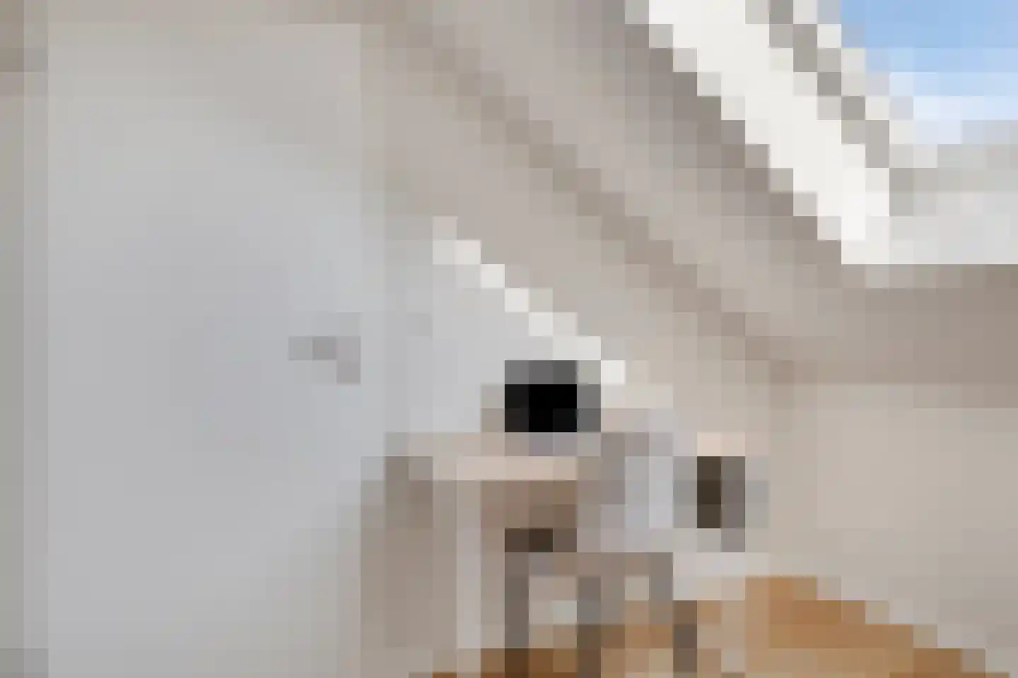 Gerendal 3 Ede thumbnail 36