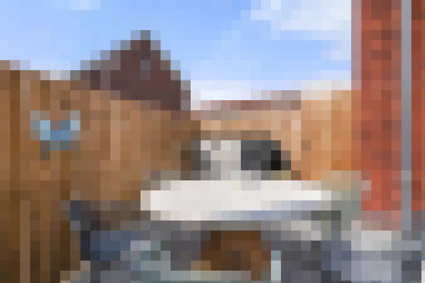 Gerendal 33 Ede thumbnail 14