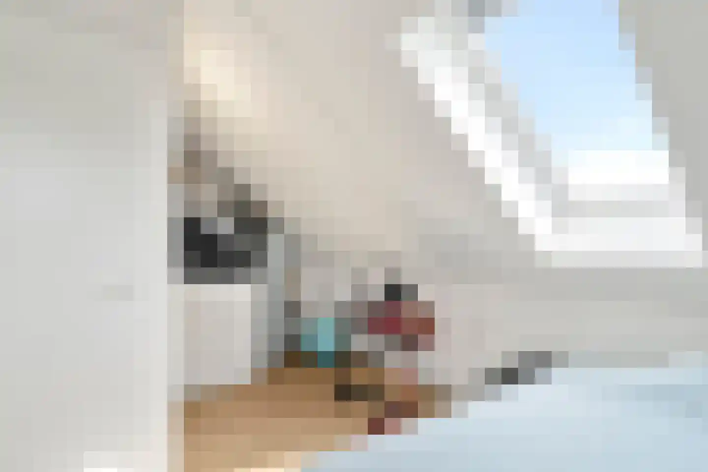 Gerendal 33 Ede thumbnail 30