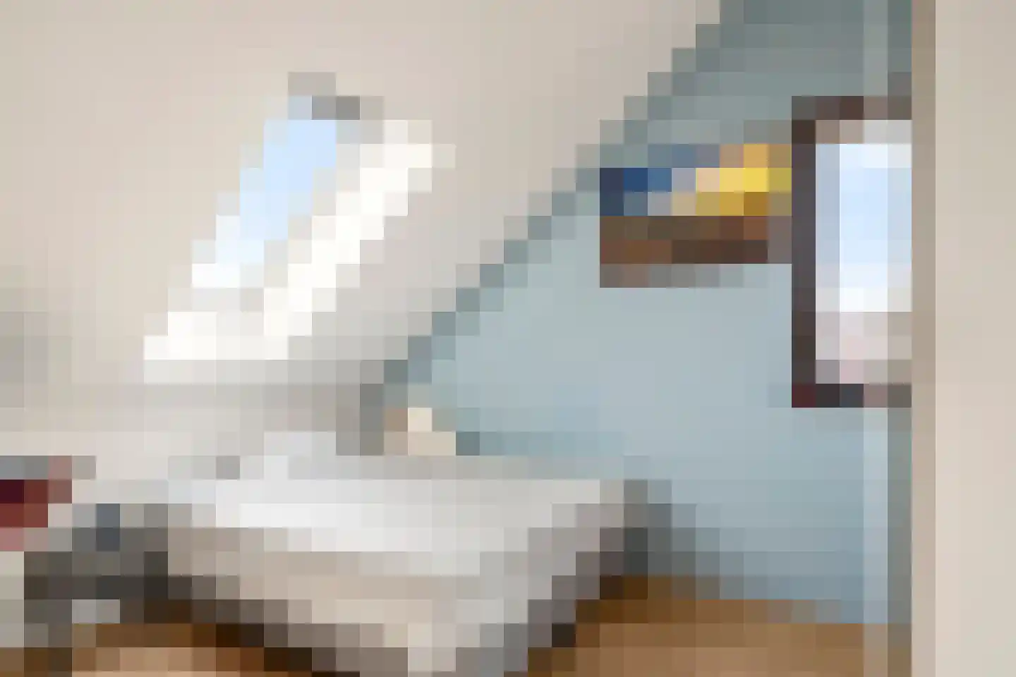 Gerendal 33 Ede thumbnail 32