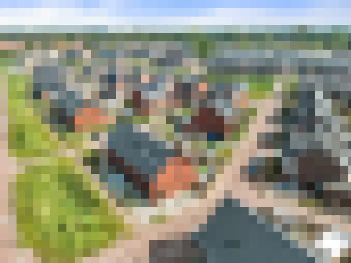 Gerendal 33 Ede thumbnail 34