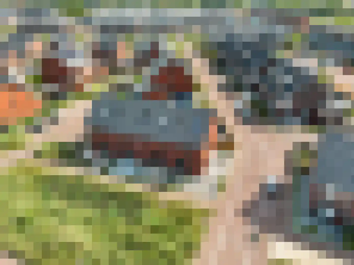 Gerendal 33 Ede thumbnail 35