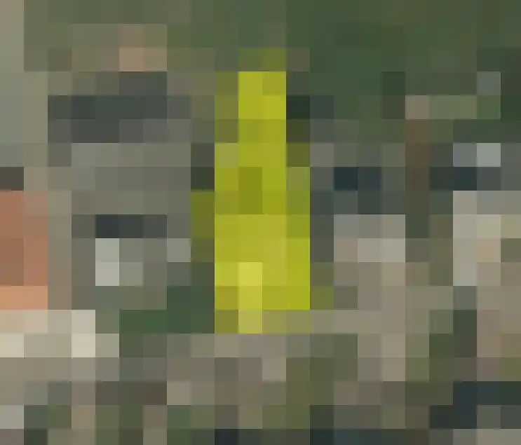 Gerendalsweg 12 C Scheulder thumbnail 39
