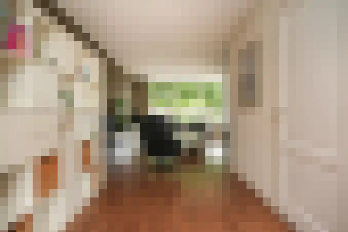 Gerestein 15 Deil thumbnail 14