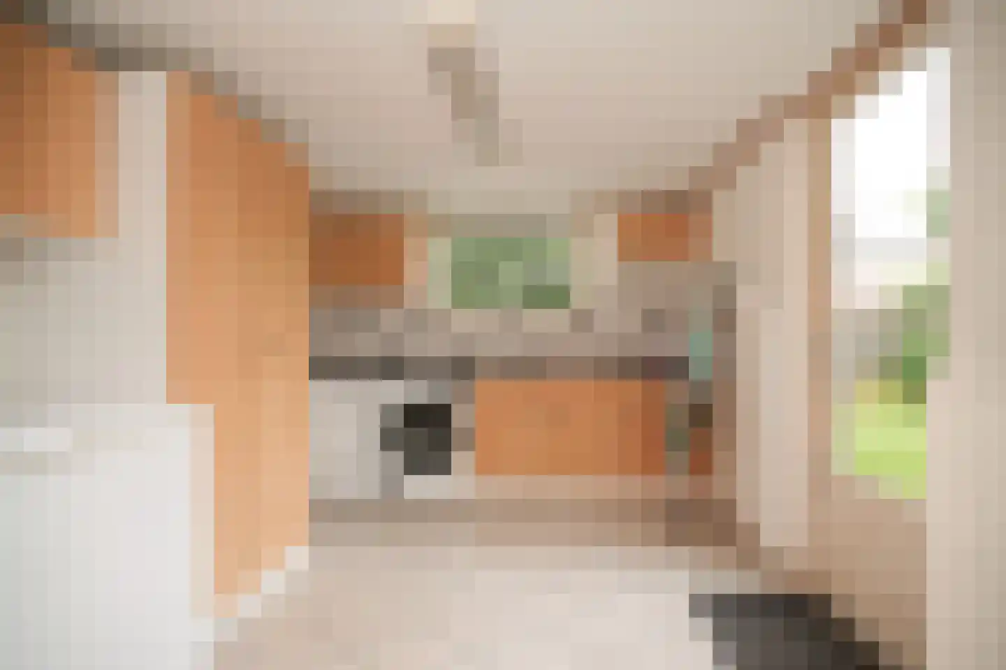 Gerestein 15 Deil thumbnail 16