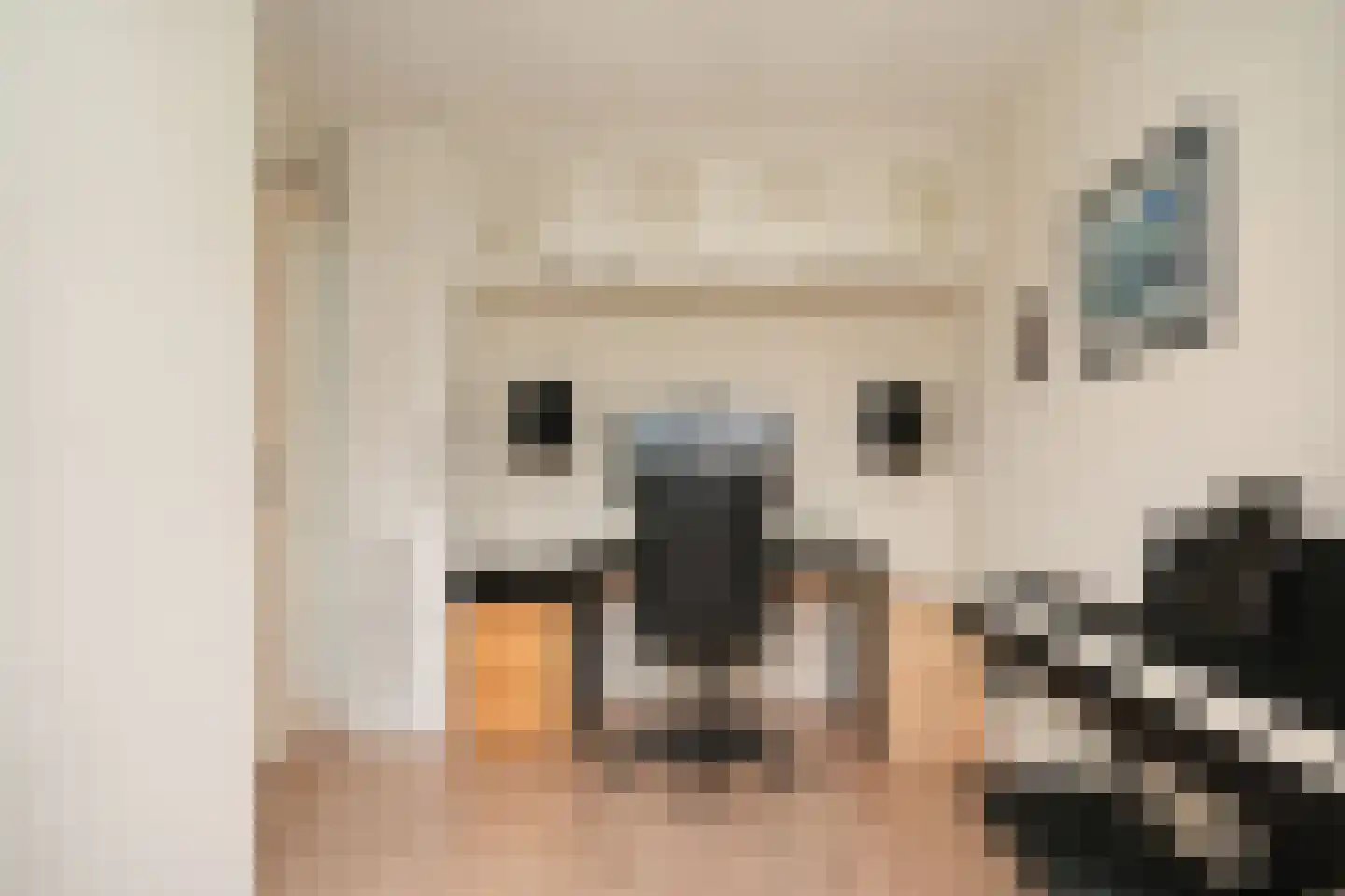 Gerestein 15 Deil thumbnail 22