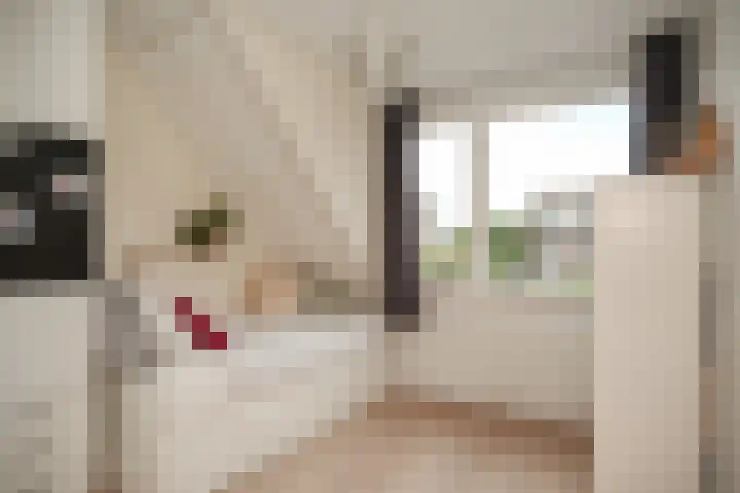 Gerestein 15 Deil thumbnail 28