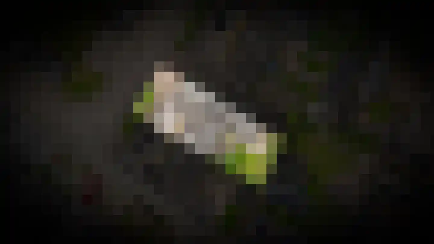 Gerestein 15 Deil thumbnail 48