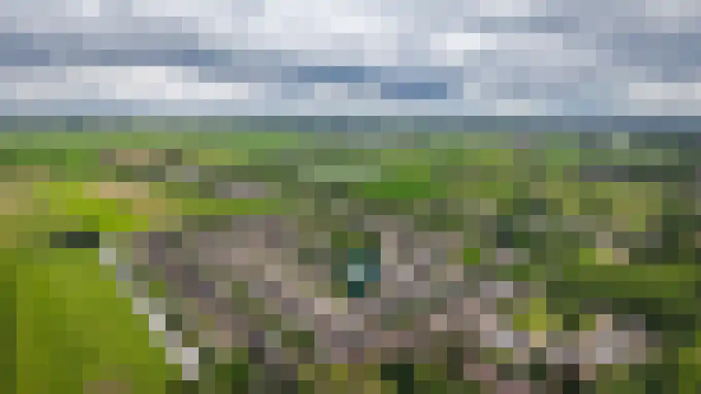 Gerestein 15 Deil thumbnail 50