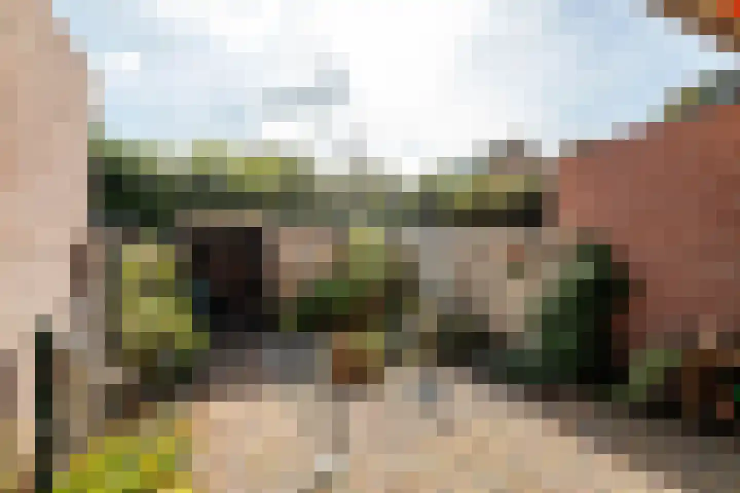 Gerestein 16 Tiel thumbnail 12