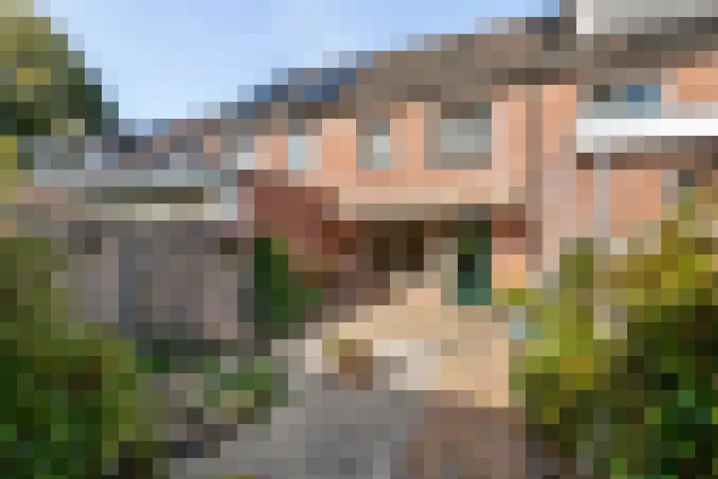 Gerestein 16 Tiel thumbnail 13