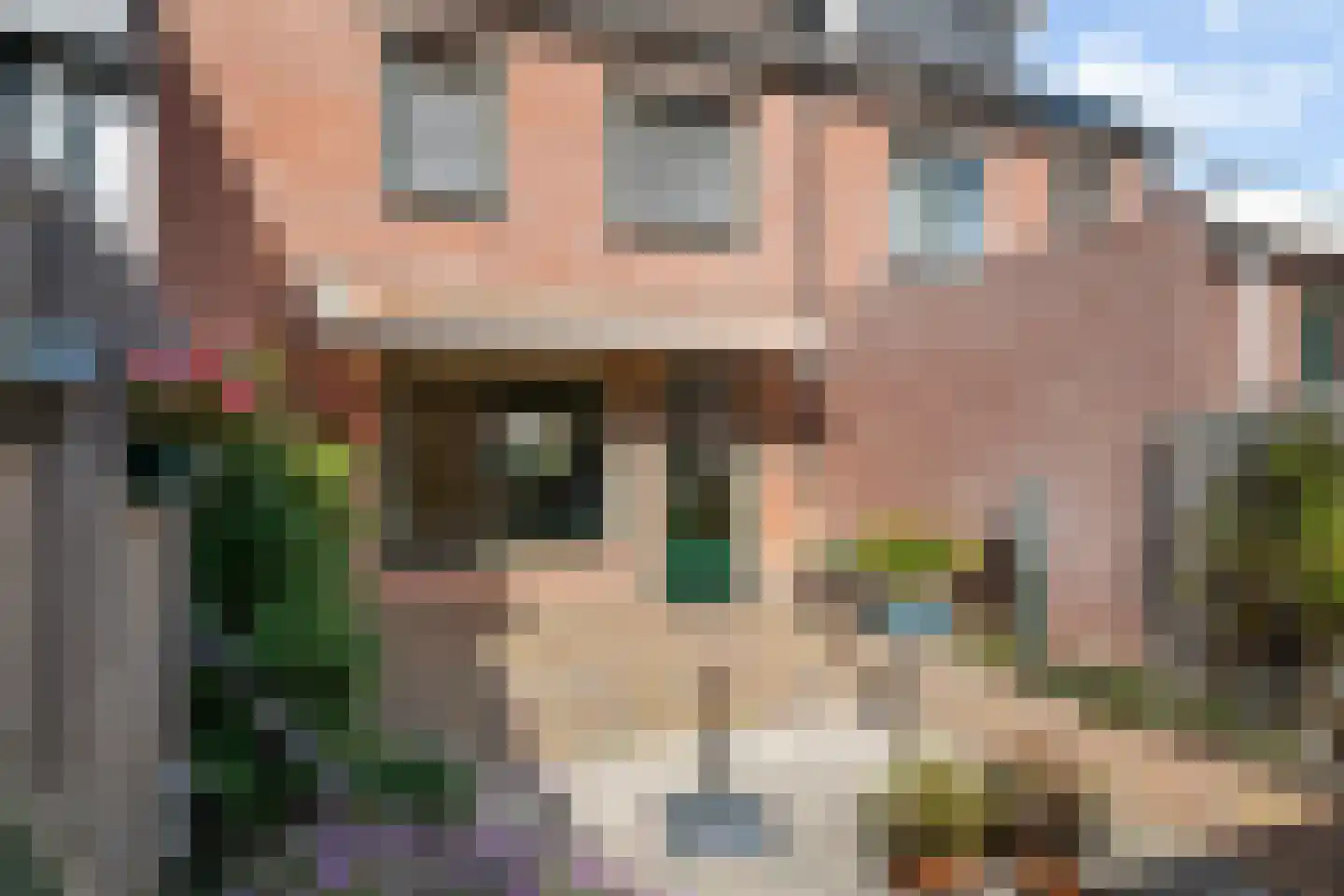 Gerestein 16 Tiel thumbnail 14