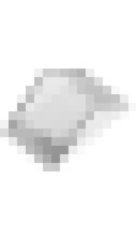 Gerestein 16 Tiel thumbnail 42