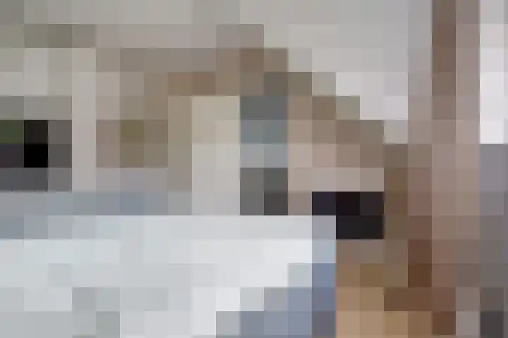 Gerestein 39 Tiel thumbnail 22