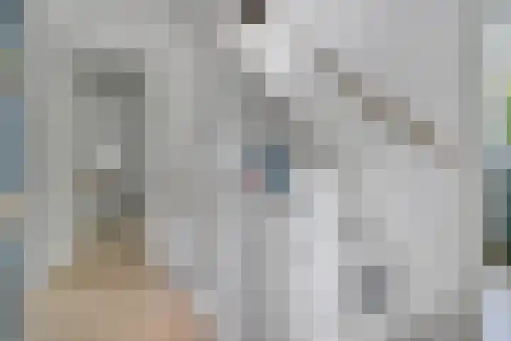 Gerestein 39 Tiel thumbnail 29