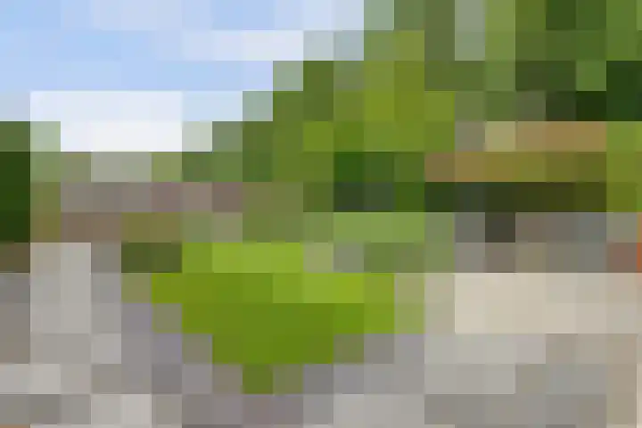 Gerestein 39 Tiel thumbnail 35