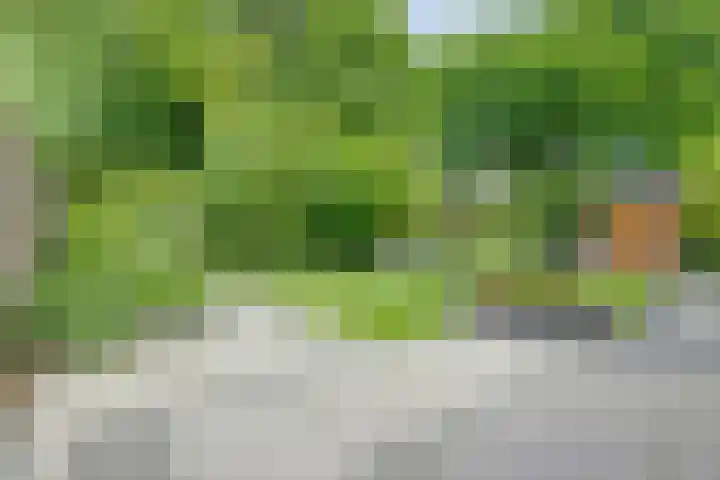 Gerestein 39 Tiel thumbnail 40