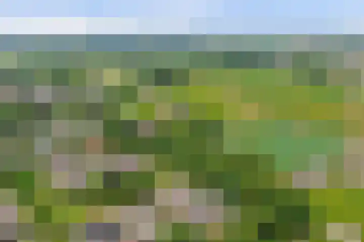 Gerestein 39 Tiel thumbnail 45